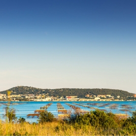 Patrimoine, nature et saveurs de l’étang de Thau