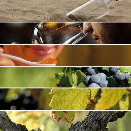 Une bouteille a la mer