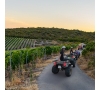 Randonnée en quad et dégustation de vin dans le Minervois