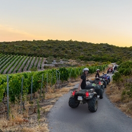 Randonnée en quad et dégustation de vin dans le Minervois