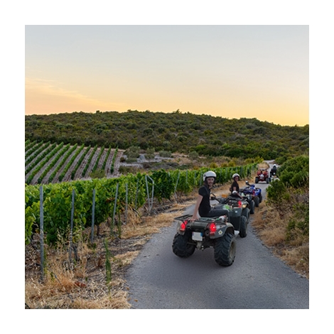 Randonnée en quad et dégustation de vin dans le Minervois