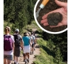 Randonnée gourmande Trufficulture dans la Haute Vallée