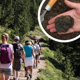 Randonnée gourmande Trufficulture dans la Haute Vallée